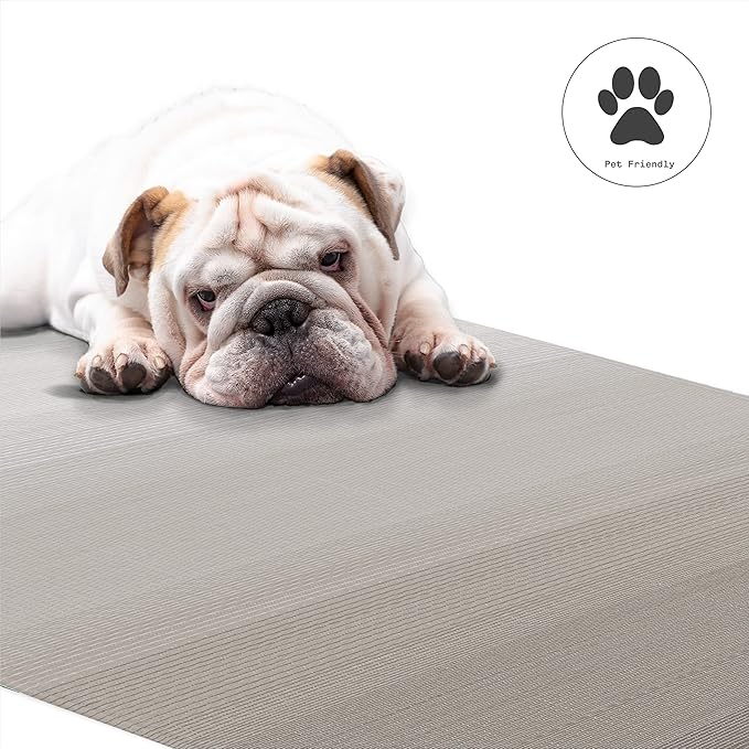 Fab Habitat Outdoor Rug - Waterproof, Fade Resistant, Crease-Free - Premium Recycled Plastic - Neutral Ombre - Patio, Deck, Porch, Balcony, Laundry Room - Big Sur - Ash - 4 x 6 ft