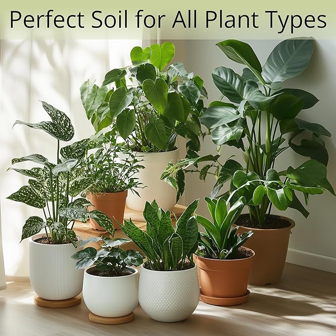 Coconut Coir Potting Soil for Indoor Plants - Expands to 7 Quart (15 lb) | Bonsai Soil Discs Perfect for General Houseplants, Herbs, and Bonsai Trees - Expands with Water