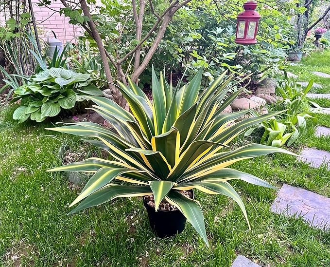 SUNPRAIRIE 34 Inch Tall Large Artificial Agave Plant in Pot with 45 Leaves, Forest Green with Yellow-Edges. Outdoor and Indoor Faux Plants.