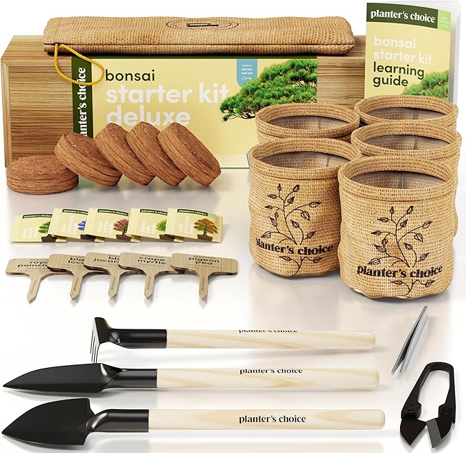 Planter's Choice Bonsai Tree Starter Kit - Unique Gifts for Women, Men - Christmas Gifts for Adults - Indoor Live House Plants - DIY Crafts for Adults Craft Kits - Hobby Gift for Gardening Lovers