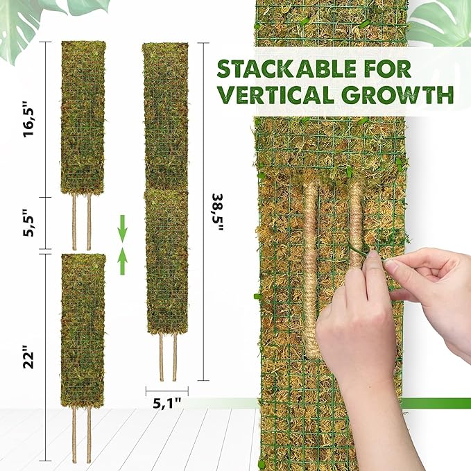 DUSPRO Flat Mesh Moss Poles for Climbing Plants Monstera Stackable Moss Pole for Plants with Real Moss Moss Plant Pole for Potted Plants Handmade Moss Stick for Indoor Plants Grow Upward 2 Pack 22”