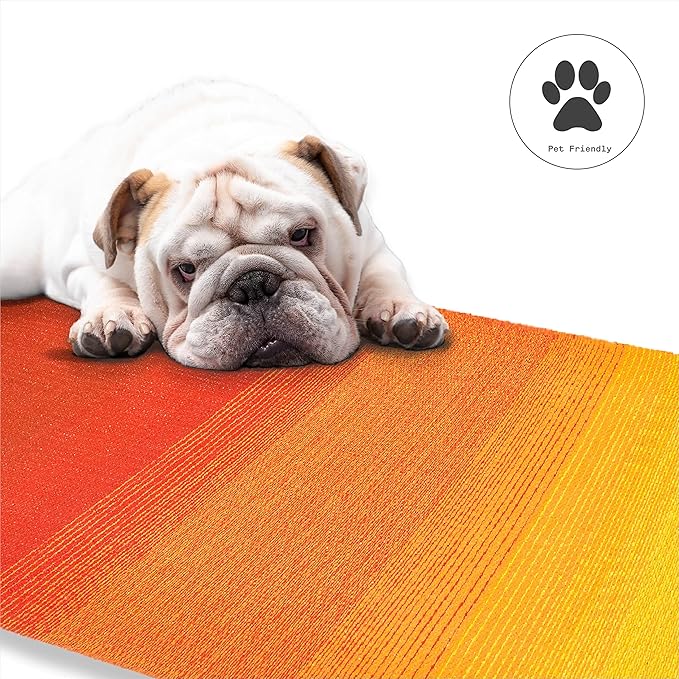 Fab Habitat Outdoor Rug - Waterproof, Fade Resistant, Crease-Free - Premium Recycled Plastic - Ombre - Patio, Porch, Deck, Balcony - Big Sur - Sunset - 5 x 8 ft