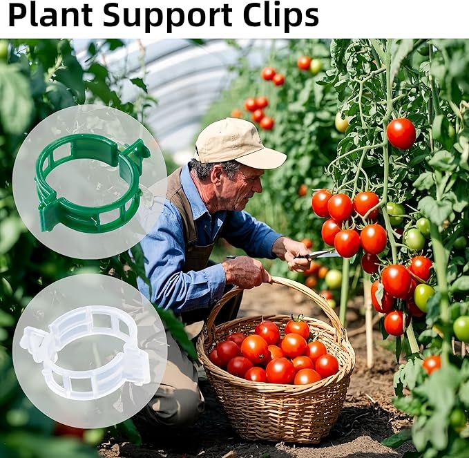200 Pcs Plant Support Clips,Plastic Clips for Securing Plants,Tomato Vine Clips,Plant Fixing Clips,Garden Clips for Climbing Plants,Grape and Vine Vegetables (200, Green)