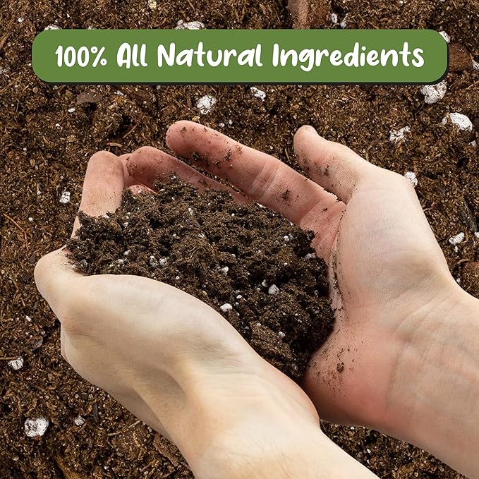 Fern Plant Potting Soil Mix (8 Quarts), Custom Hand Blended Mixture for Indoor/Outdoor Container Gardening