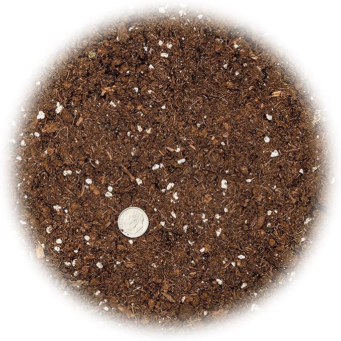 GARDENERA Money Tree Potting Soil - 10 Quart - Soil Mix for Planting or Repotting Guiana Chestnut, Blended Mix to Properly Grow Money Tree Plants (4 Bags of 5 Quart)