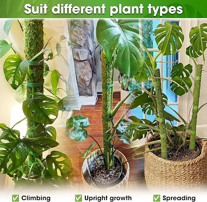 DUSPRO 2 Pack 25’’ Mesh Moss Pole for Climbing Plants, Natural Moss Pole Monstera Plant Support, Real Moss Poles for Plants Indoor, Moss Stick for House Plants, Moss Stakes for Climbing Plants