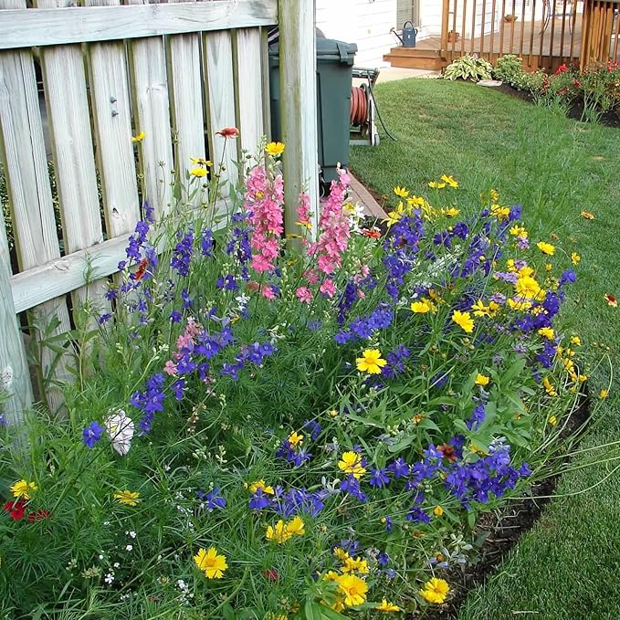 Created By Nature Maine Wildflower State Mix, 15 Flower Varieties, 50,000 Seeds