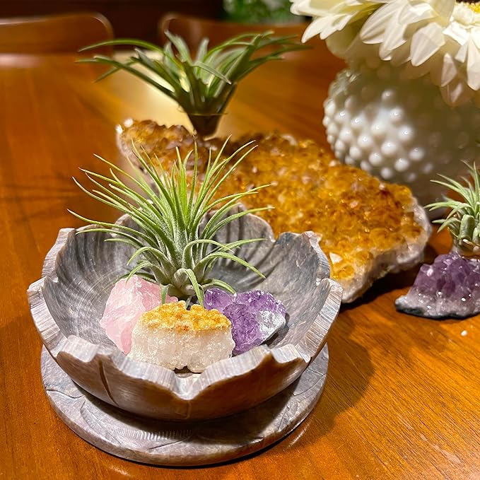 Lotus Carved Stone Bowl with Small Amethyst, Rose Quartz, Citrine Crystals and Air Plant – Mindfulness Decor for Yoga Meditation Enthusiasts, Crystal Collector