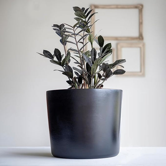 Willowy 12 Inch Large Plant Pot (Black) - Slightly Tapered Ceramic Indoor Planter Pot, Large Black Modern Planter, 12 Inch Pots for Plants, Outdoor Flower/Tree Pot