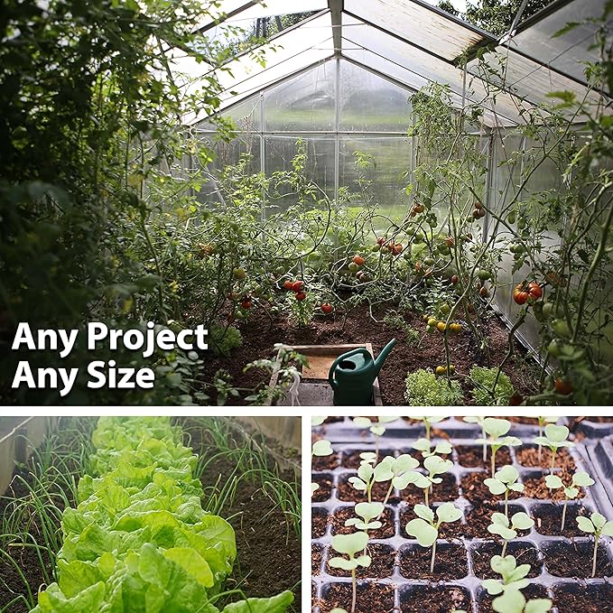 Victoria Series Salvia Blue 1 Oz ~29,072 Seeds – Mealycup Sage (Salvia farinacea) – 98–112 Days – Lavender & White Blooms – Heat Tolerant Annual – Upright Garden Accent – Non-GMO Heirloom