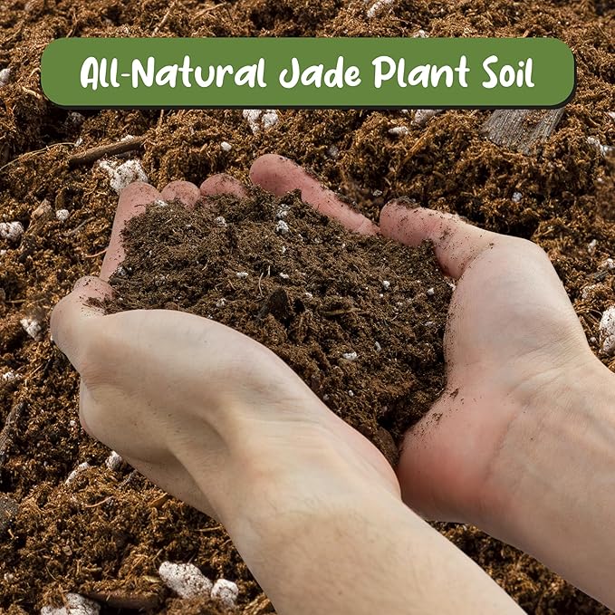 Jade Plant Potting Soil Mix (8 Quarts), Hand Blended Additive for Jade Succulents