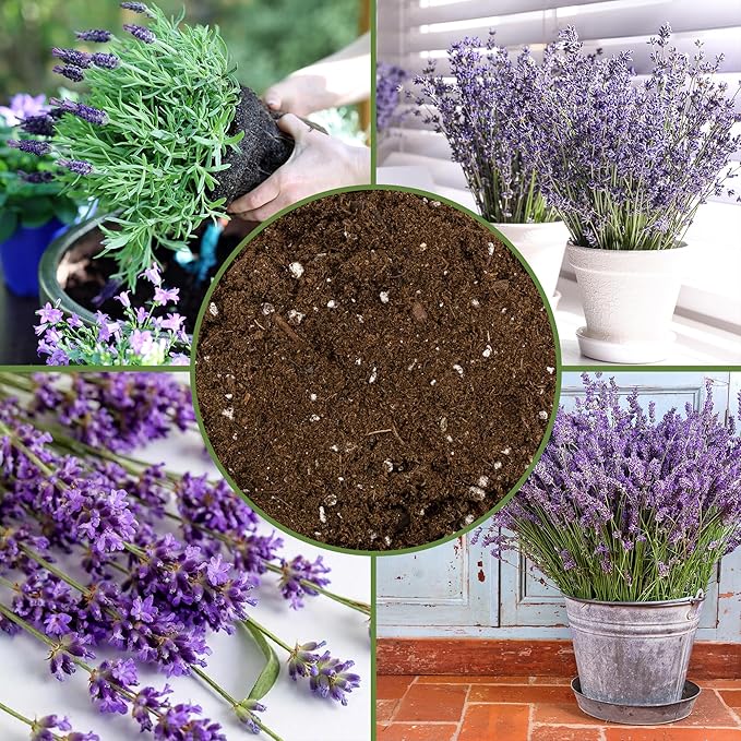 Lavender Potting Soil Mix (4 Quarts), Indoor/Outdoor Container Gardening Blend for Lavender Herb Plants