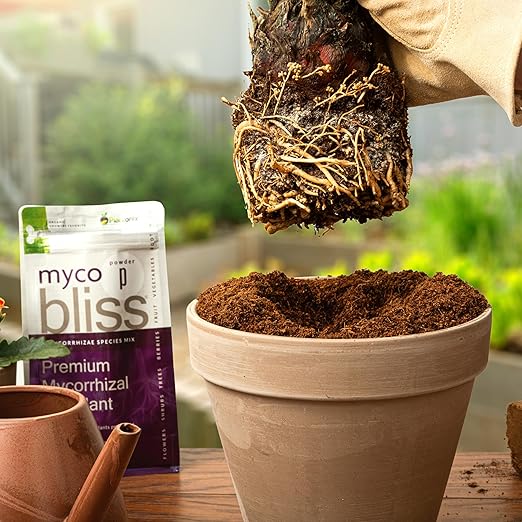 Myco Bliss Powder (200 g) - Mycorrhizal Fungi for Plants - 5 Strain Mycorrhizal Inoculant with 1000 Propagules Per Gram - Highly Concentrated Mycorrhizae for Plants, Gardening, & Potting Soil