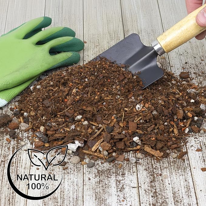 Cactus and Succulent Potting Mix (8 Quarts), Special Blend-Fast Draining and Desert-Style Gritty