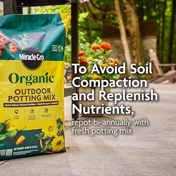 Miracle-Gro Organic Outdoor Potting Mix, for Outdoor Container Plants, Contains Quick-Release Natural Fertilizer, OMRI Listed, 16 qt., 2-Pack