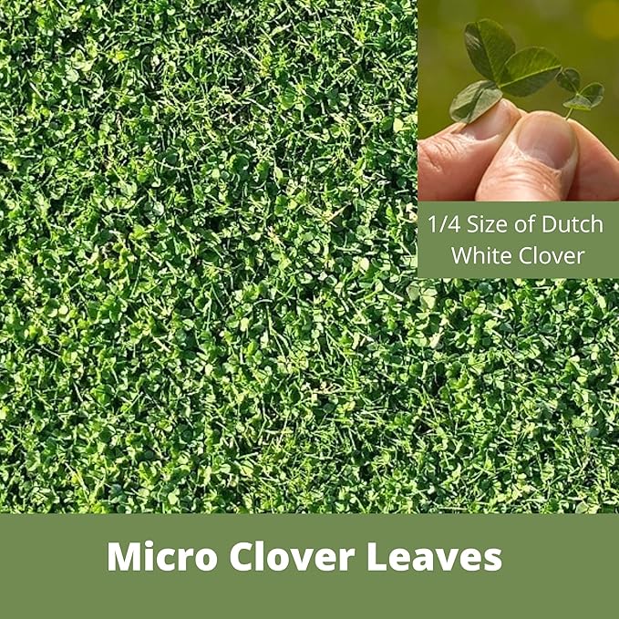 Flawn Seed Kits 8.8 oz Micro Clover Seed, Organic Coated, Eco-Friendly, Low Growing, Low Maintenance, Lawn Alternative, Kraft Zipper Pouch, Covers up to 2000 Sqft