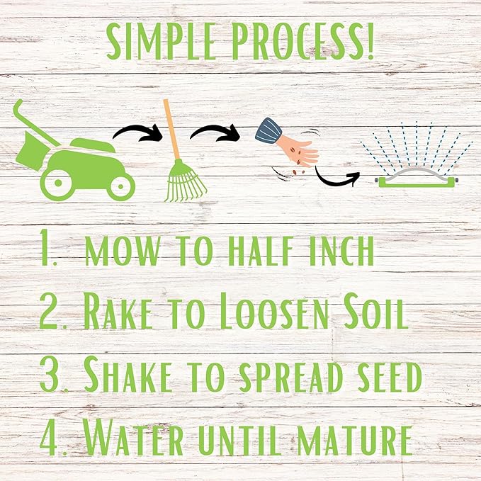 Flawn Seed Kits 8.8 oz Micro Clover Seed, Organic Coated, Eco-Friendly, Low Growing, Low Maintenance, Lawn Alternative, Kraft Zipper Pouch, Covers up to 2000 Sqft