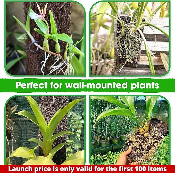 DUSPRO Tree Fern Fiber Board for Orchids, Aroids and Other Climbing Plants, 7.9 inches Staghorn Fern Mount