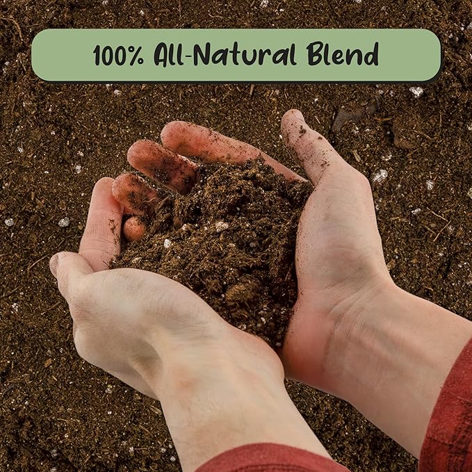 Peace Lily Potting Soil Mix (2 Quarts), for Planting, Growing, or Repotting Peace Lily Plants