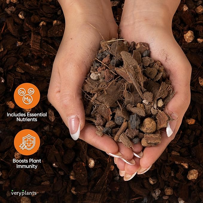 Molly's Orchid Potting Mix - Premium Gritty Soilless Orchid Mix - Chunky High Drainage vs Standard Potting Soil for Indoor Plants - Contains Bark, Coco Chips, Akadama, Pumice, Lava Rock 5 Dry Quarts