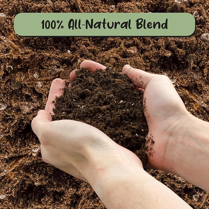 Banana Tree Potting Soil Mix (12 Quarts) – Hand-Blended Indoor/Outdoor Mix for Healthy Banana Plants – Enhances Drainage & Root Support – Made in USA