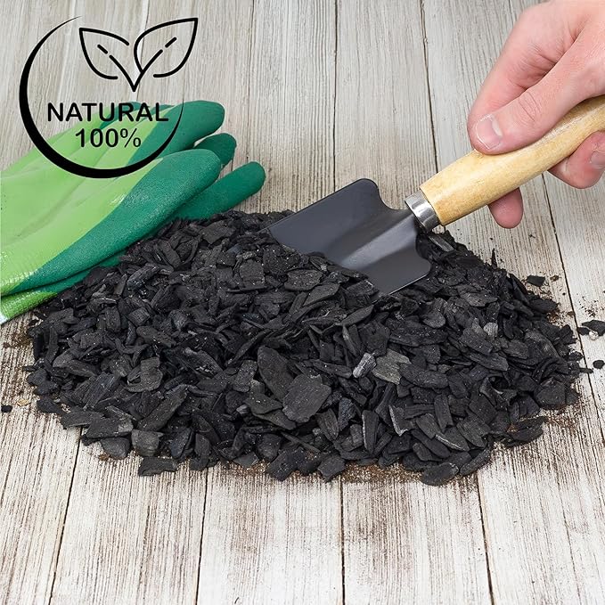 Horticultural Charcoal for Indoor Plants (4 Quarts), Hardwood Soil Additive for Orchids, Terrariums, and Gardening