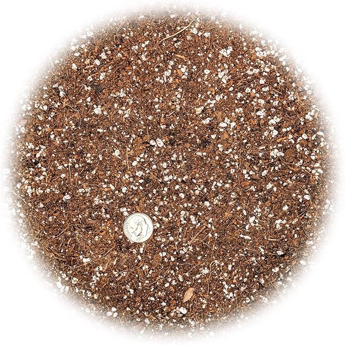 Gardenera Premium Raspberry Potting Soil Mix - Optimal Blend for Thriving and Juicy Berries - 1 Quart