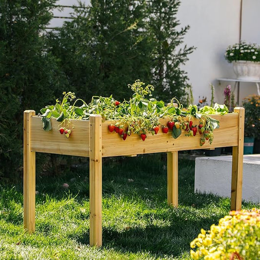 Premium Fir Wooden Raised Garden Bed with Four Legs for Backyard and Balcony Gardening,Suitable for Indoor and Outdoor use,49.5''×23.5''×30''