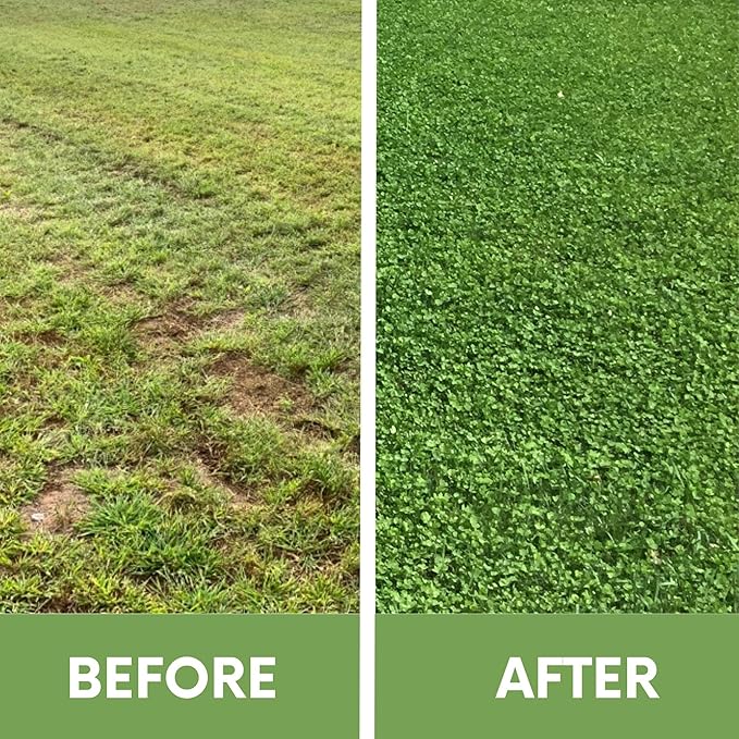 Flawn Seed Kits 1 Lb Micro Clover Seed, Organic Coated, Eco-Friendly, Low Growing, Low Maintenance, Lawn Alternative, Kraft Zipper Pouch, Covers up to 3,600 Sqft