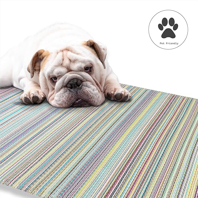 Fab Habitat Outdoor Rug - Waterproof, Fade Resistant, Crease-Free - Premium Recycled Plastic - Striped - Large Patio, Deck, Sunroom, Camping, RV - Cancun - Candy - 6 x 9 ft