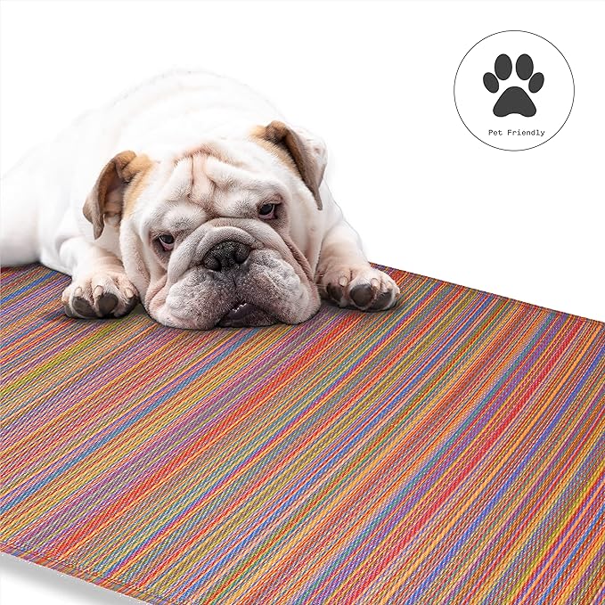 Fab Habitat Outdoor Rug - Waterproof, Fade Resistant, Crease-Free - Premium Recycled Plastic - Striped - Patio, Porch, Deck, Balcony - Cancun - Multicolor - 5 x 8 ft