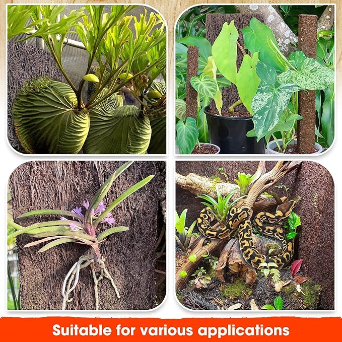 DUSPRO Tree Fern Fiber Board for Orchids, Aroids and Other Climbing Plants, 7.9 inches Staghorn Fern Mount