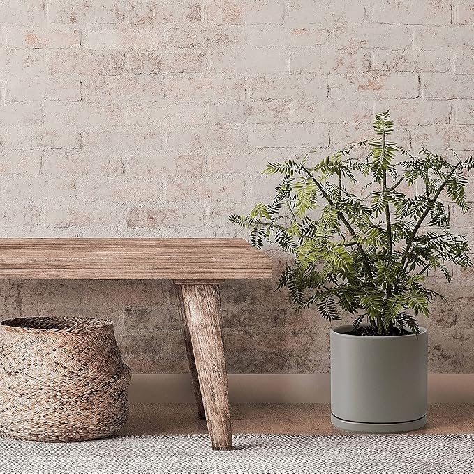 D'vine Dev 6 Inch & 8 Inch Ceramic Planter Pots for Plants with Drainage Hole and Saucer, Medium Plant Pots Set, Grey, 94-G-M-3