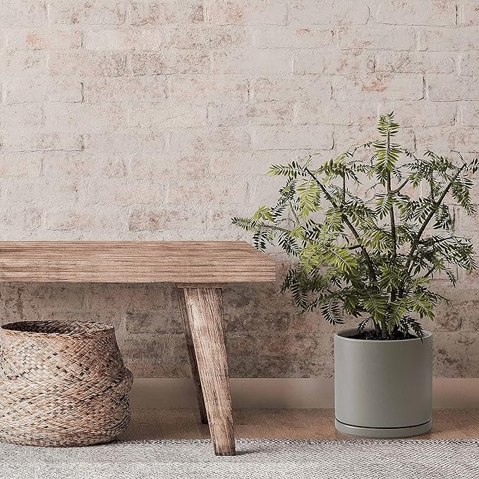 D'vine Dev 10 Inch Ceramic Planter Pot with Drainage Hole and Saucer, Indoor Cylinder Round Planter Pot, Grey, 94-O-E-3