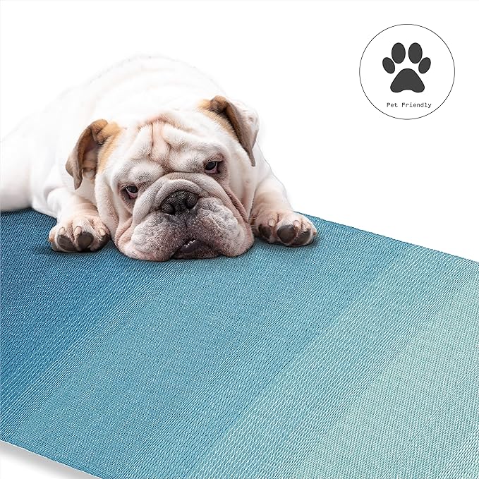 Fab Habitat Outdoor Rug - Waterproof, Fade Resistant, Crease-Free - Premium Recycled Plastic - Ombre - Patio, Deck, Porch, Balcony, Laundry Room - Big Sur - Teal - 4 x 6 ft