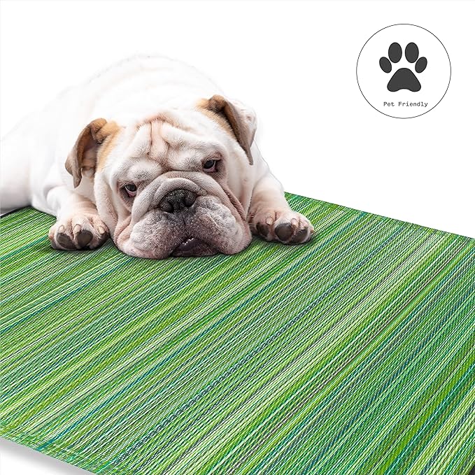 Fab Habitat Outdoor Rug - Waterproof, Fade Resistant, Crease-Free - Premium Recycled Plastic - Striped - Patio, Deck, Porch, Balcony, Laundry Room - Cancun - Green - 4 x 6 ft