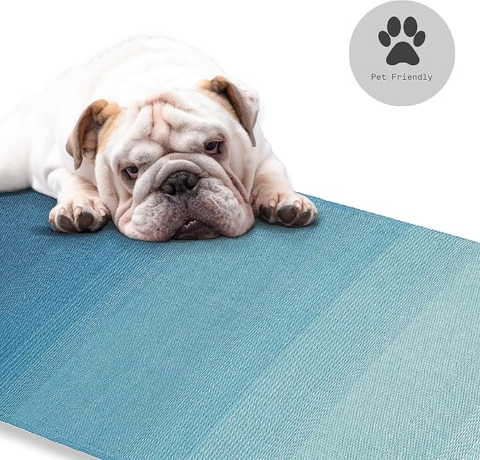 Fab Habitat Outdoor Rug - Waterproof, Fade Resistant, Crease-Free - Premium Recycled Plastic - Ombre - Large Patio, Deck, Sunroom, Camping, RV - Big Sur - Teal - 6 x 9 ft